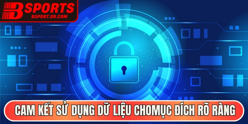 Cam kết sử dụng dữ liệu cho các mục đích rõ ràng