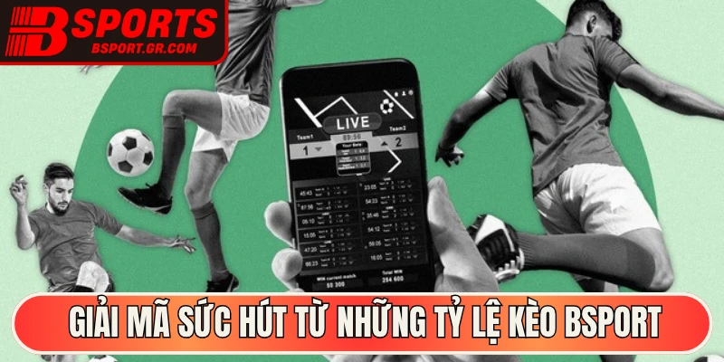 Giải mã sức hút từ những tỷ lệ kèo Bsport