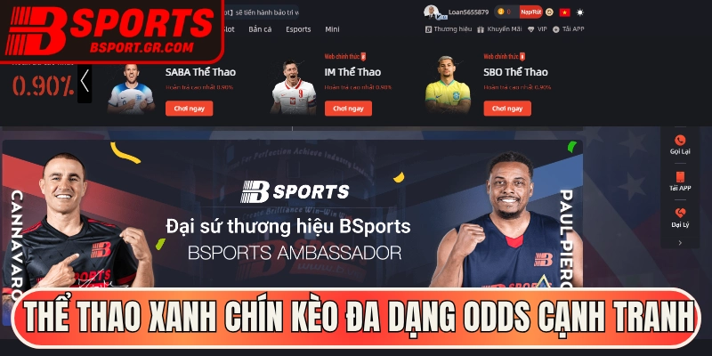 Thể thao xanh chín kèo đa dạng odds cạnh tranh