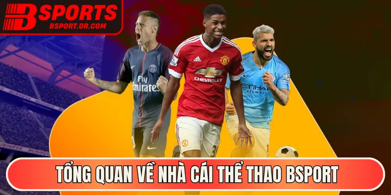 Tổng quan về nhà cái thể thao Bsport