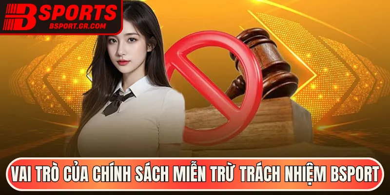 Vai trò của chính sách miễn trừ trách nhiệm Bsport